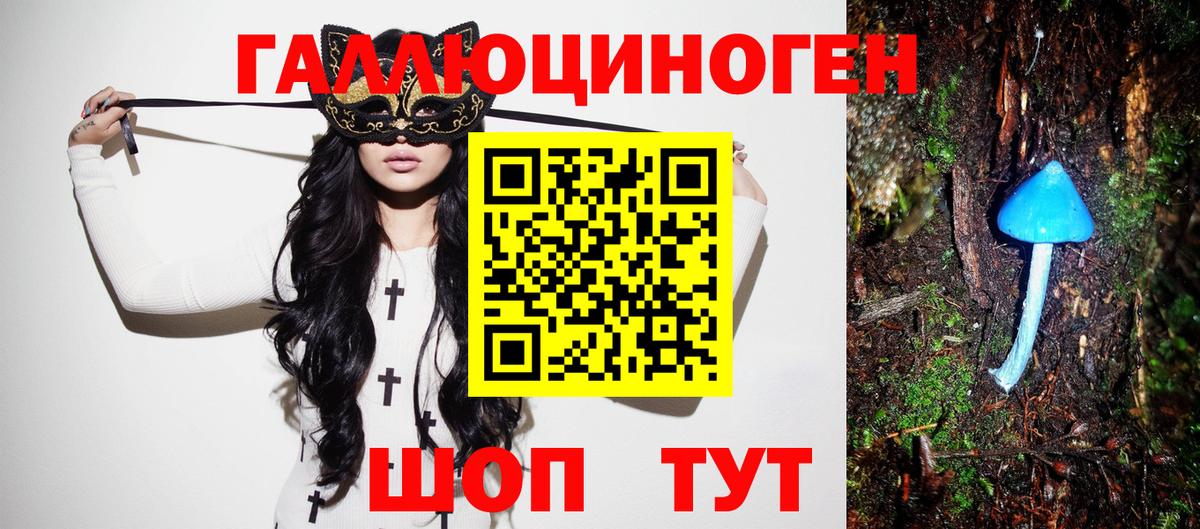 Галлюциногенные грибы мухоморы  купить  сайты  Новосибирск  Вход с VPN 