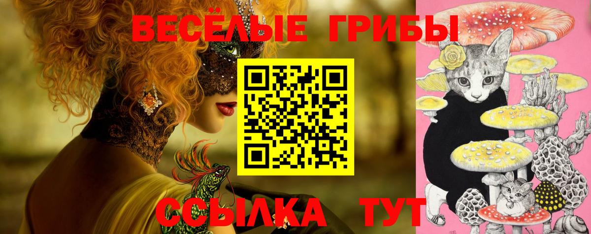 Галлюциногенные грибы мухоморы Новосибирск